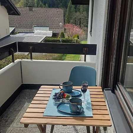Cozy Black Forest In