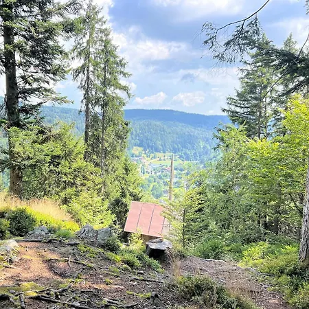 Cozy Black Forest In Todtmoos